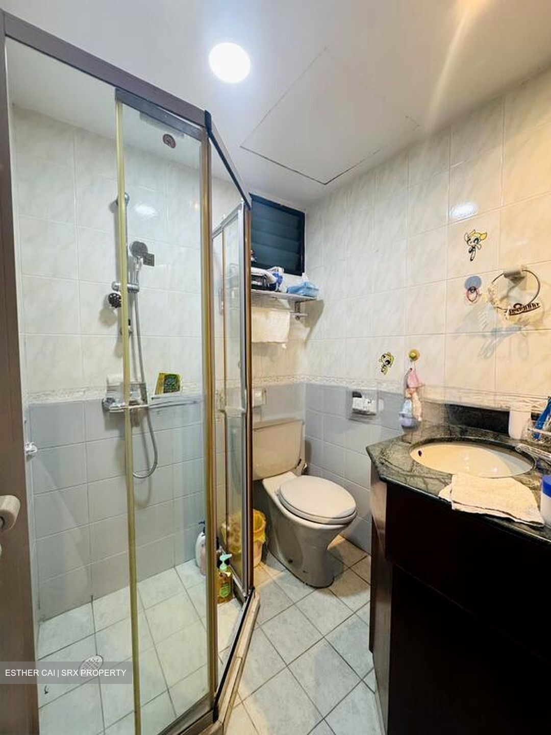 Simsville (D14), Condominium #510747621